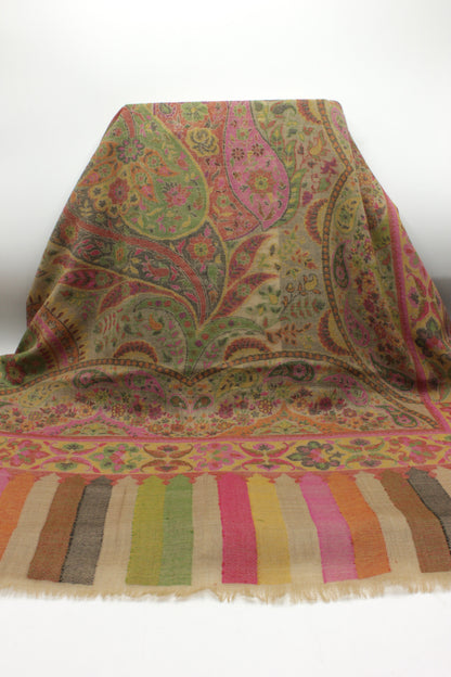 Premium Quality Beige Multi Color Woven Authentic Pashmina Cashmere Shawl by Rennuce
